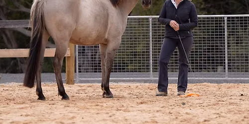 Empowered Horsemanship- The Vertical Path-4 Days Lessons
