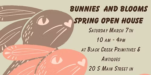 Bunnies and Blooms Spring Open House