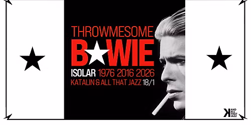 TMS BOWIE ISOLAR 1976 | Katalin Uppsala