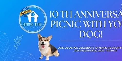 10th Anniversary Customer Appreciation Picnic! 