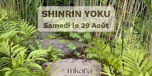 Shinrin Yoku (Bain de for\u00eat)