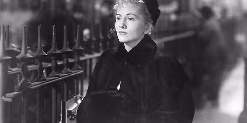 Too Much: Letter from an Unknown Woman + Introduction