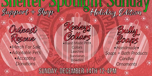 Holiday Shelter Spotlight Sunday!