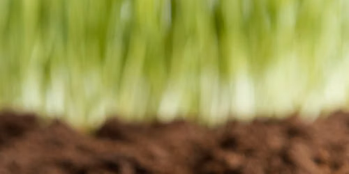 Natural Soil Amendment and Pest Class Control Class