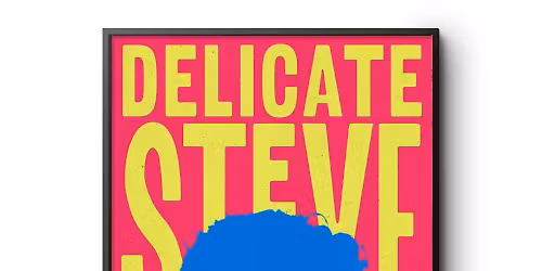 Delicate Steve