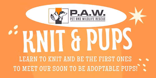 Knit & Pups!