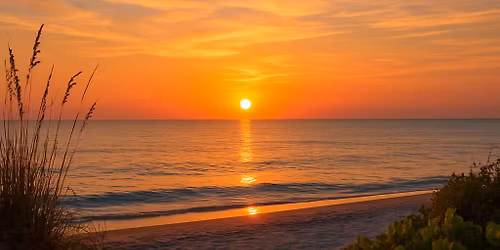 Beach Clean Up at Sunset with Team Doogie!