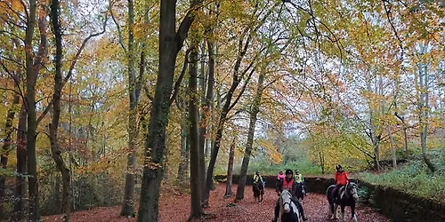 Linacre Lanes 2 PLACES LEFT