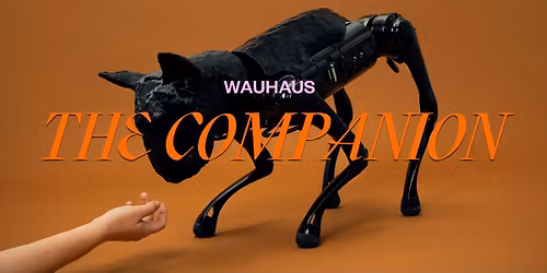 The Companion \u2013 WAUHAUS
