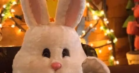 Easter Bunny Party at the farm!