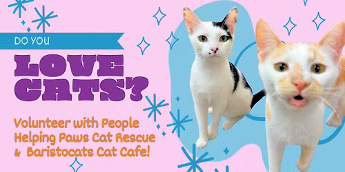 Be the Reason-Volunteer Information Meeting