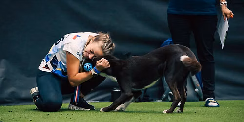 Agility seminar with Lucie Glejdurova  