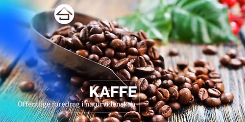 Kaffe \/\/ Studenterhus Odense