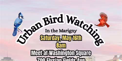 Urban Bird Watching in the Marigny