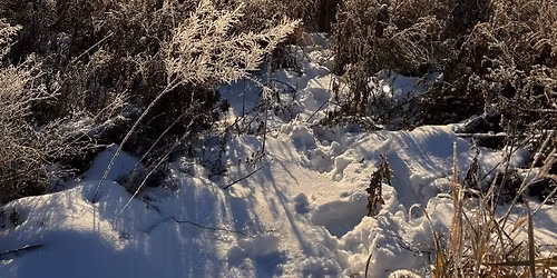 Intro to Hiking: Old Cedar Ave