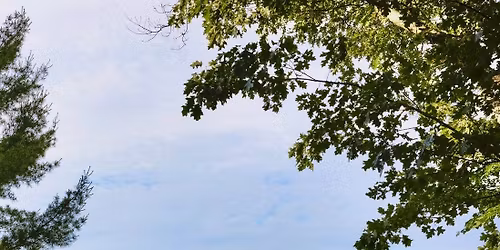 Babywearing Tours at Gore Place