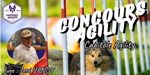 Concours Agility - Capitole Agility 