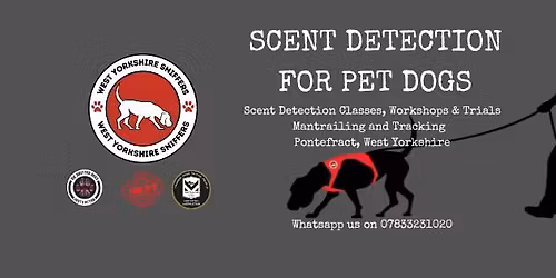 \ud83d\udc36 Mantrailing Introduction Workshop \ud83d\udc36