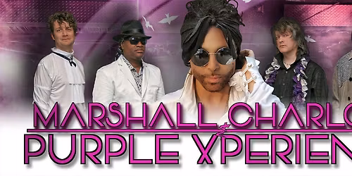 The Purple Experience - A Tribute to Prince