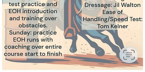 Ranahan Working Equitation Clinic 