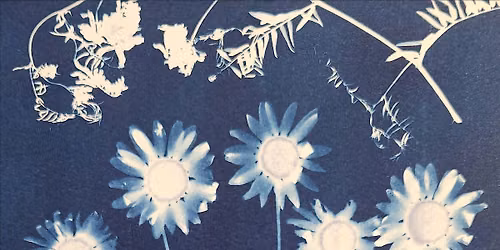 Cyanotype - Impressions of Light