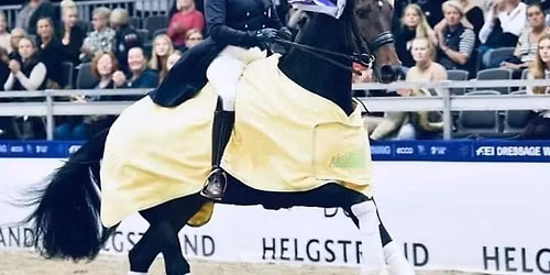 Trening med Cecilie Schilbred 7-9 november - Mosj\u00f8en