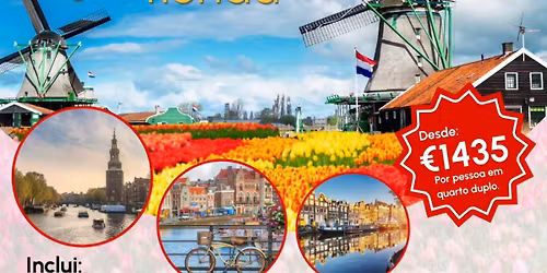 Holanda florida
