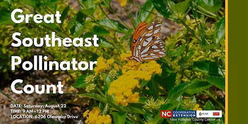 Pollinator Count Party at the NHC Arboretum
