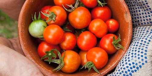 Gratis herfstcursus ecologisch moestuinieren