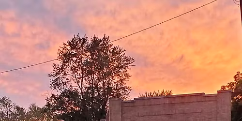 Alfie & Jack at Parlor City Brewing! 