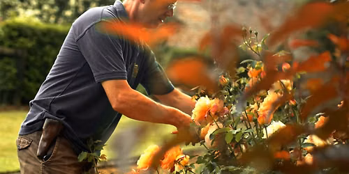 Head Gardener Tours