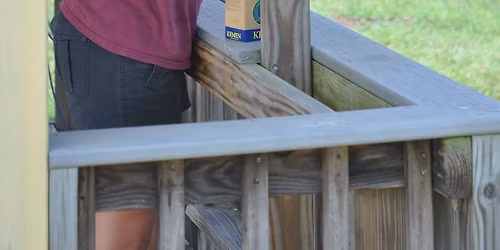 The Dog Days 100 FUN Shoot