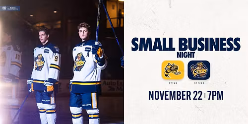 Small Business Night vs. Sarnia Sting (November 22nd)