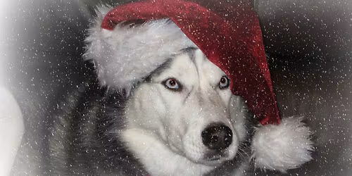 12th Annual PLHS Soccer Craft & Vendor Show