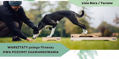 WARSZTATY psiego fitnessu z Ad\u0105 Jaworsk\u0105 - 17-18.10.2026