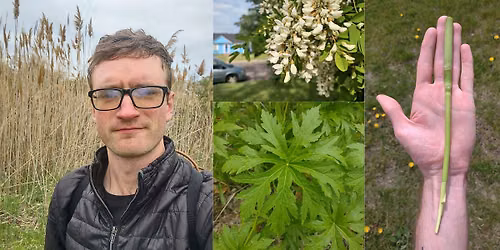 Wild Edible Plant Walk in Jackson Park