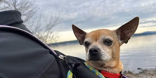 Adoption Event at Coastal Farm and Ranch - Auburn