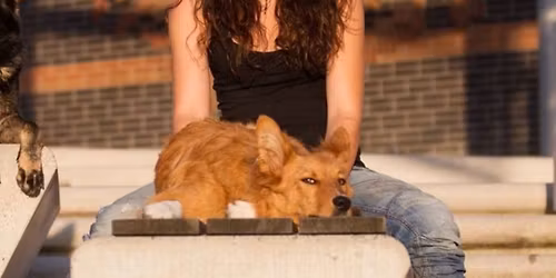 Training gegen die Wand - wenn nichts mehr geht - mit Franzi Ferenz 