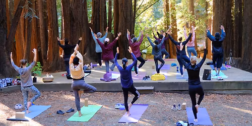 Mothers Day Yoga in the Redwoods - for Bay Area Physicians