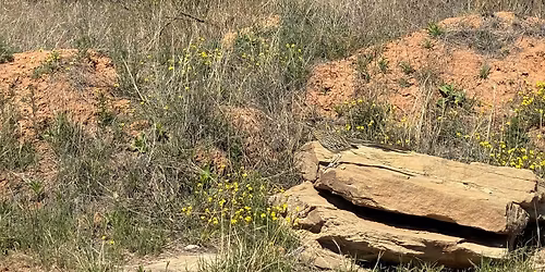 Hike with the Pioneers