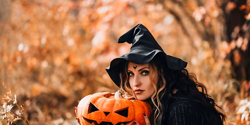 2026 CEDAR BEWITCHED MARKET