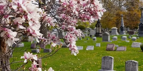 48 State Tour! Niagara Falls, NY - Oakwood Cemetery