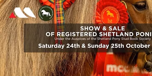 Show & Sale on behalf of the Shetland Pony Stud Book Society