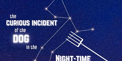 The Curious Incident of the Dog in the Night-Time