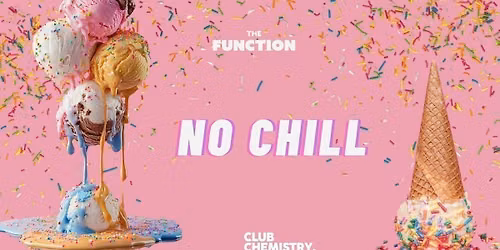 The Function - No chill 