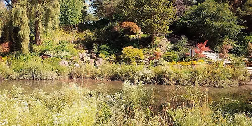 Walk N Talk at Edwards Gardens