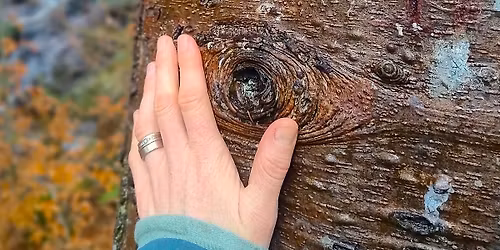 Connecting To Nature: Women\u2019s Winter Solstice Mini Retreat with Cacao