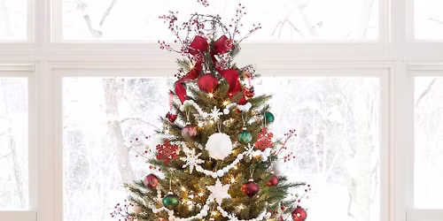 Christmas Tree donation and decorations 