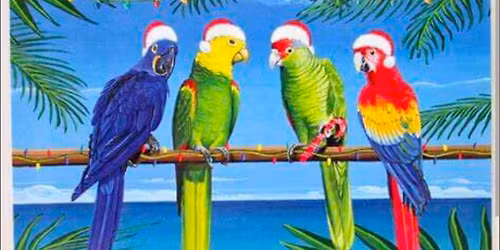 Happy Hour + White Elephant + Food Drive