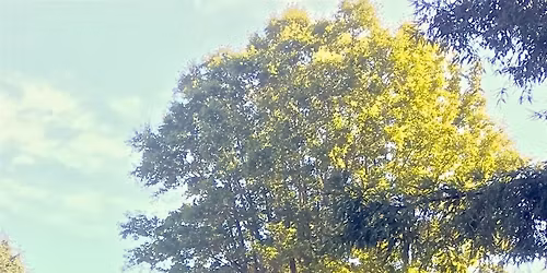 TDK 2 at the Lumber Yard